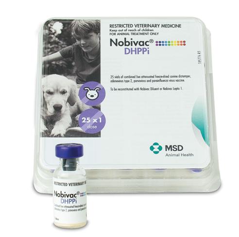 Nobivac DHPPi