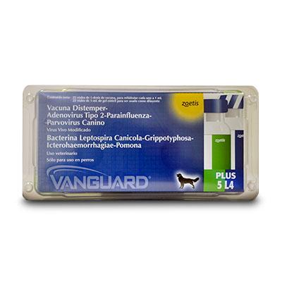 Vanguard Plus 5 L4 CV (V10)