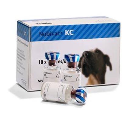 Nobivac KC
